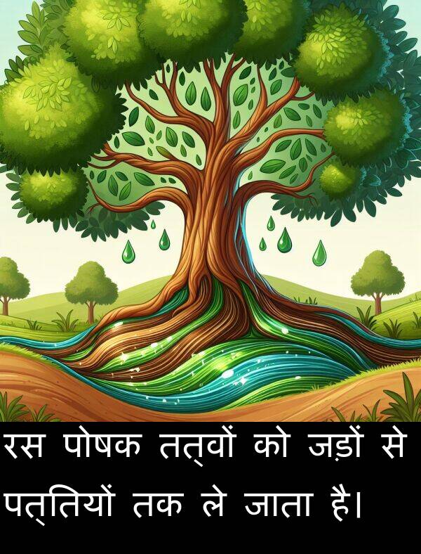 पत्तियों: रस पोषक तत्वों को जड़ों से पत्तियों तक ले जाता है।