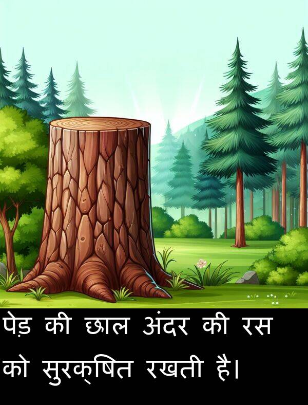 छाल: पेड़ की छाल अंदर की रस को सुरक्षित रखती है।