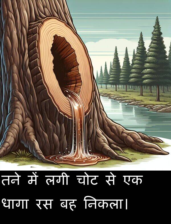 लगी: तने में लगी चोट से एक धागा रस बह निकला।