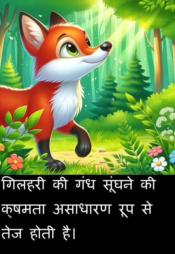रूप: गिलहरी की गंध सूंघने की क्षमता असाधारण रूप से तेज होती है।