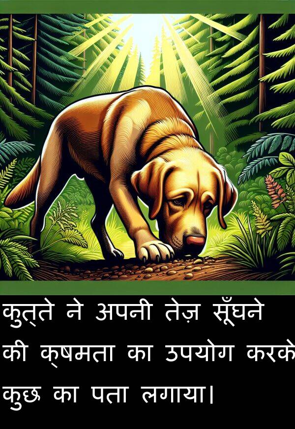 लगाया।: कुत्ते ने अपनी तेज़ सूँघने की क्षमता का उपयोग करके कुछ का पता लगाया।