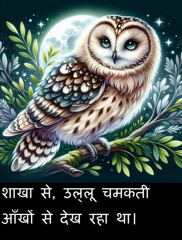 उल्लू: शाखा से, उल्लू चमकती आँखों से देख रहा था।