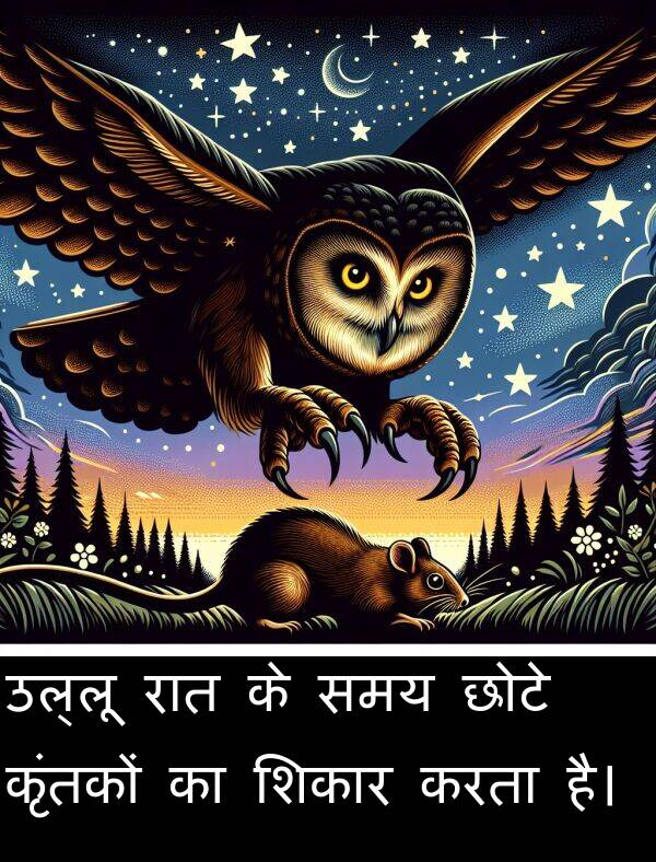 छोटे: उल्लू रात के समय छोटे कृंतकों का शिकार करता है।