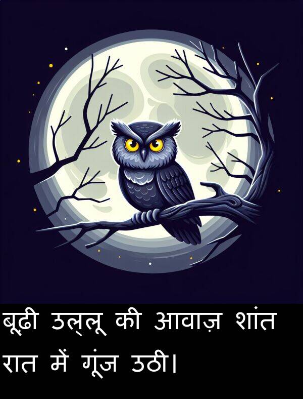 आवाज़: बूढ़ी उल्लू की आवाज़ शांत रात में गूंज उठी।