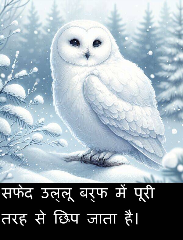 छिप: सफेद उल्लू बर्फ में पूरी तरह से छिप जाता है।