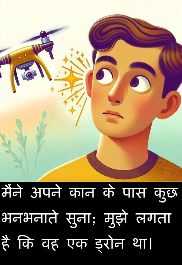 भनभनाते: मैंने अपने कान के पास कुछ भनभनाते सुना; मुझे लगता है कि वह एक ड्रोन था।