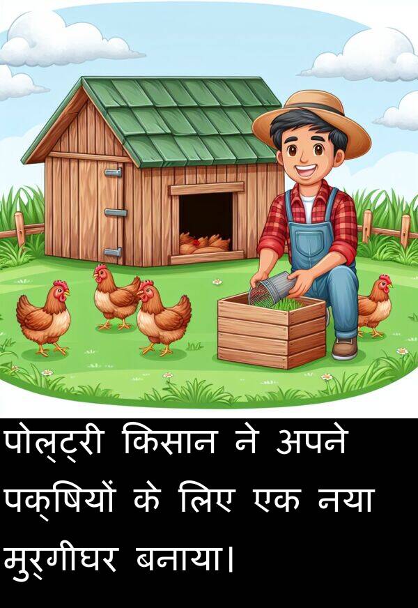 पक्षियों: पोल्ट्री किसान ने अपने पक्षियों के लिए एक नया मुर्गीघर बनाया।