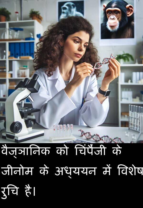वैज्ञानिक: वैज्ञानिक को चिंपैंजी के जीनोम के अध्ययन में विशेष रुचि है।