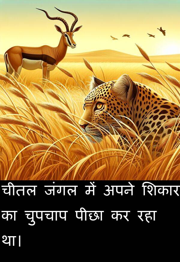 चीतल: चीतल जंगल में अपने शिकार का चुपचाप पीछा कर रहा था।