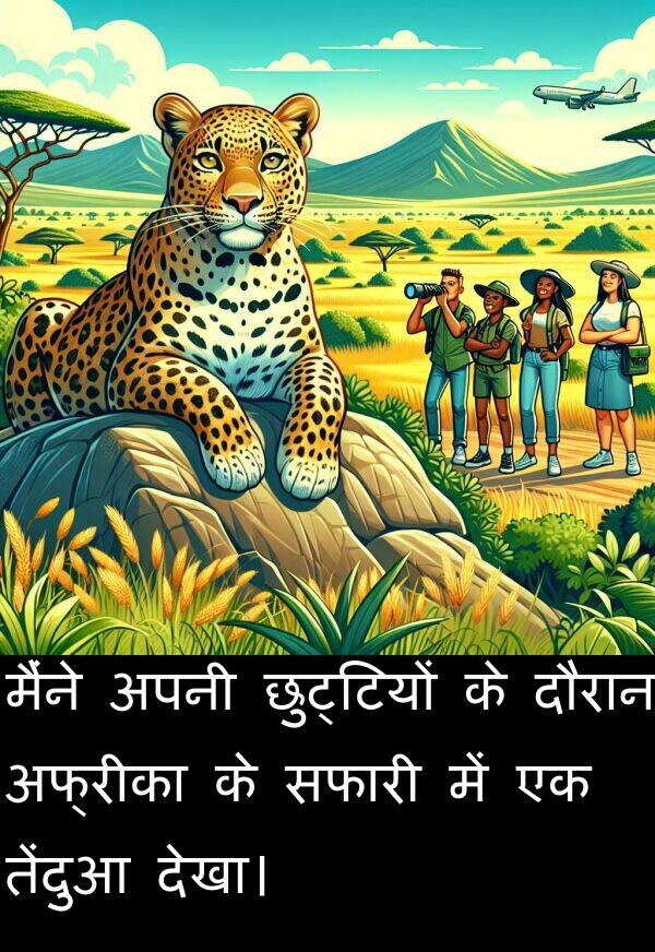 छुट्टियों: मैंने अपनी छुट्टियों के दौरान अफ्रीका के सफारी में एक तेंदुआ देखा।