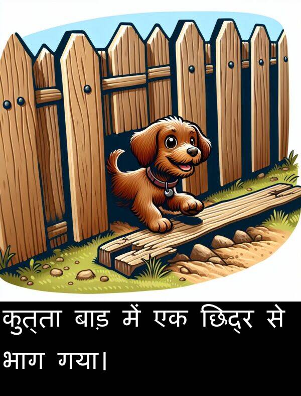 छिद्र: कुत्ता बाड़ में एक छिद्र से भाग गया।