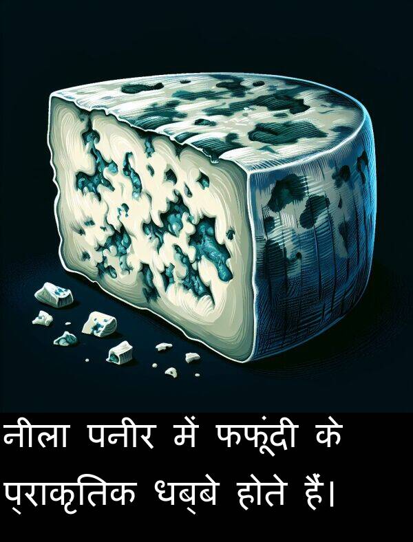 पनीर: नीला पनीर में फफूंदी के प्राकृतिक धब्बे होते हैं।