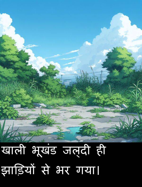 खाली: खाली भूखंड जल्दी ही झाड़ियों से भर गया।