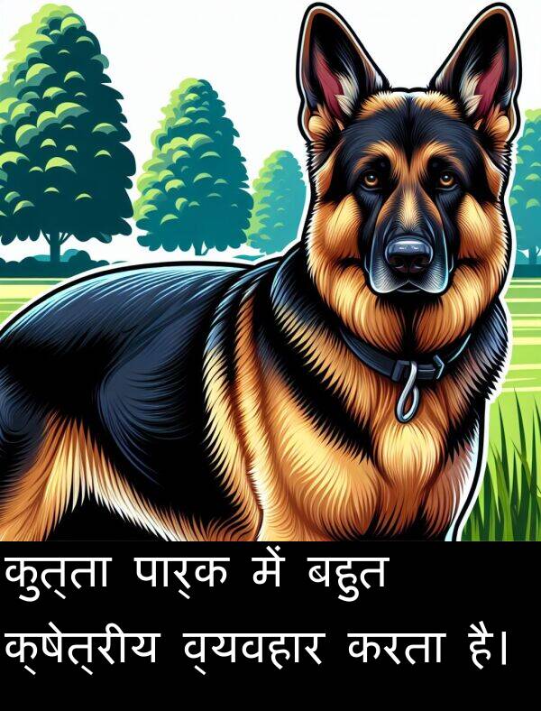 व्यवहार: कुत्ता पार्क में बहुत क्षेत्रीय व्यवहार करता है।