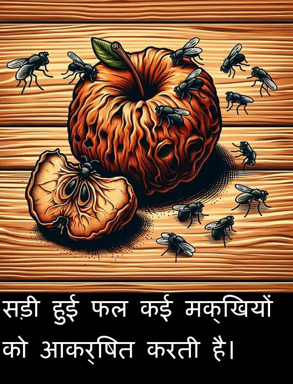 सड़ी: सड़ी हुई फल कई मक्खियों को आकर्षित करती है।