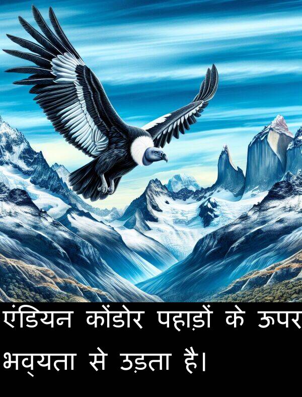 पहाड़ों: एंडियन कोंडोर पहाड़ों के ऊपर भव्यता से उड़ता है।