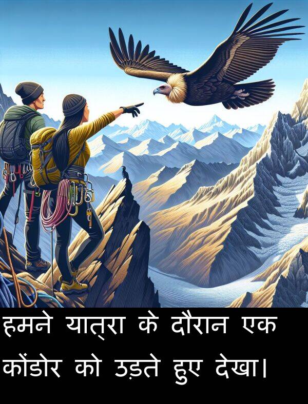 उड़ते: हमने यात्रा के दौरान एक कोंडोर को उड़ते हुए देखा।