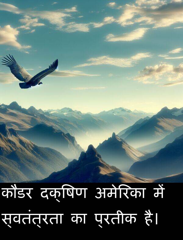 अमेरिका: कौंडर दक्षिण अमेरिका में स्वतंत्रता का प्रतीक है।