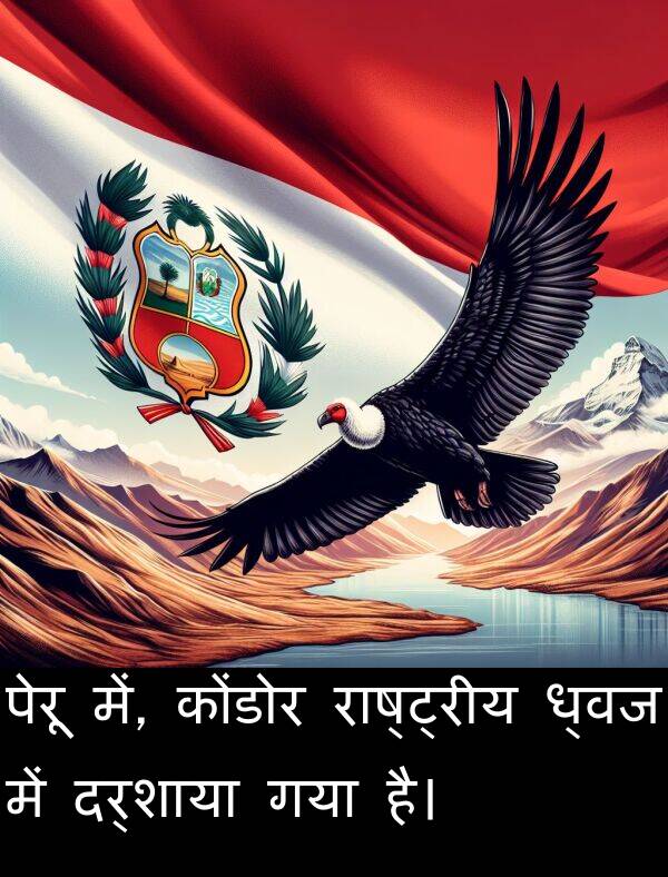 ध्वज: पेरू में, कोंडोर राष्ट्रीय ध्वज में दर्शाया गया है।