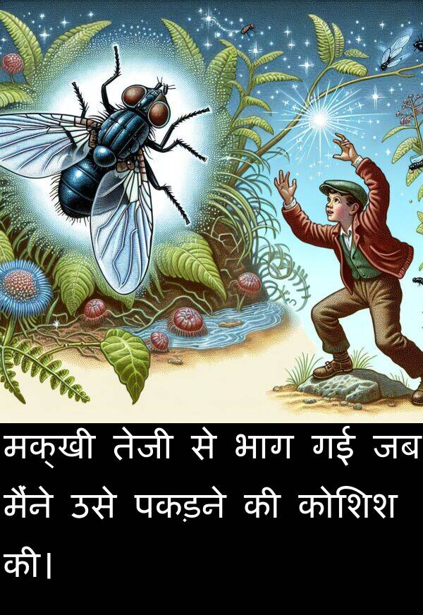 उसे: मक्खी तेजी से भाग गई जब मैंने उसे पकड़ने की कोशिश की।
