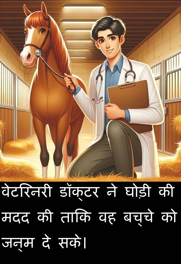 सके।: वेटरिनरी डॉक्टर ने घोड़ी की मदद की ताकि वह बच्चे को जन्म दे सके।