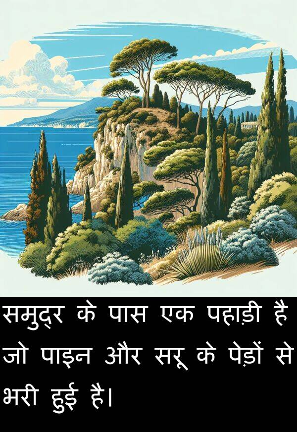पाइन: समुद्र के पास एक पहाड़ी है जो पाइन और सरू के पेड़ों से भरी हुई है।