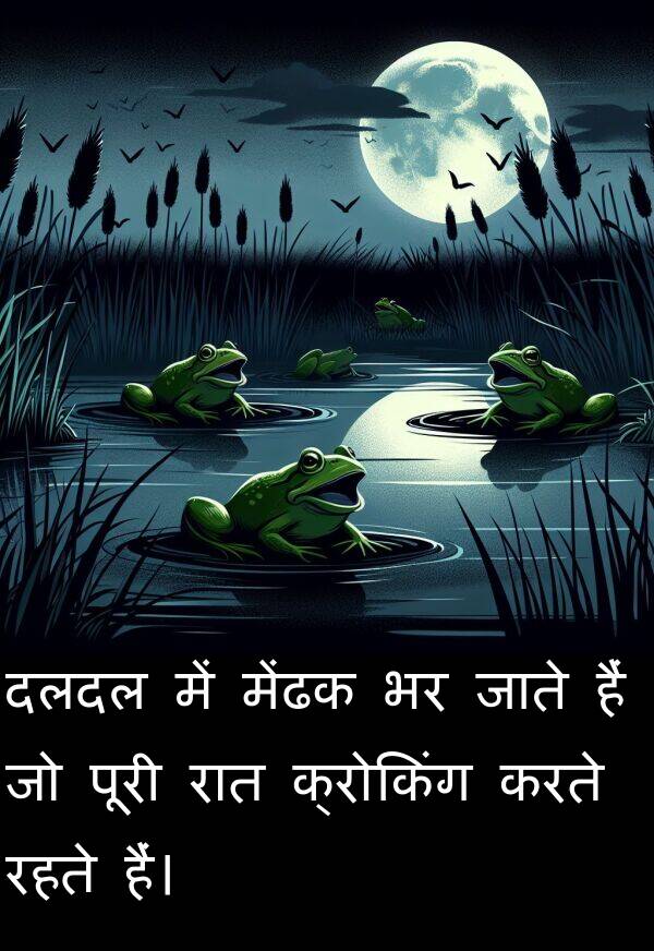 रहते: दलदल में मेंढक भर जाते हैं जो पूरी रात क्रोकिंग करते रहते हैं।