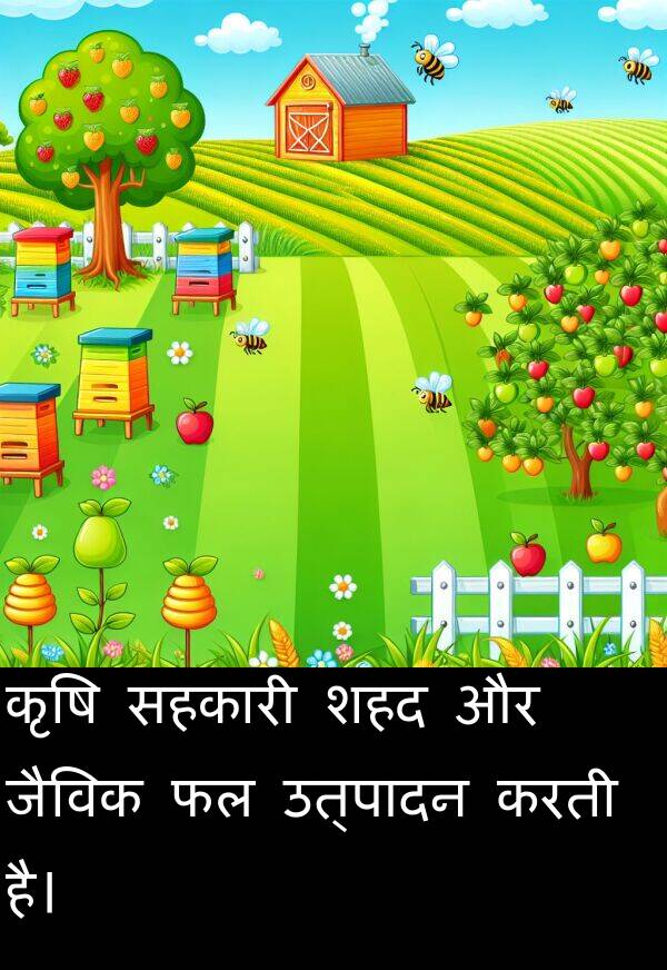उत्पादन: कृषि सहकारी शहद और जैविक फल उत्पादन करती है।