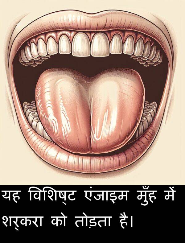 विशिष्ट: यह विशिष्ट एंजाइम मुँह में शर्करा को तोड़ता है।