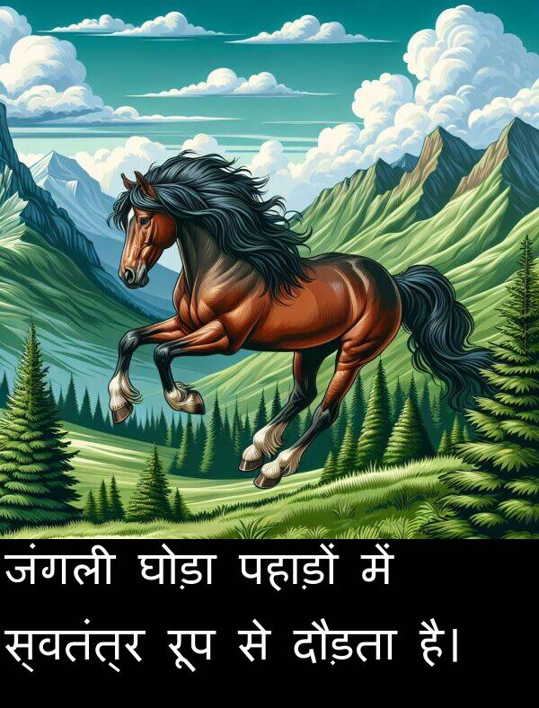पहाड़ों: जंगली घोड़ा पहाड़ों में स्वतंत्र रूप से दौड़ता है।
