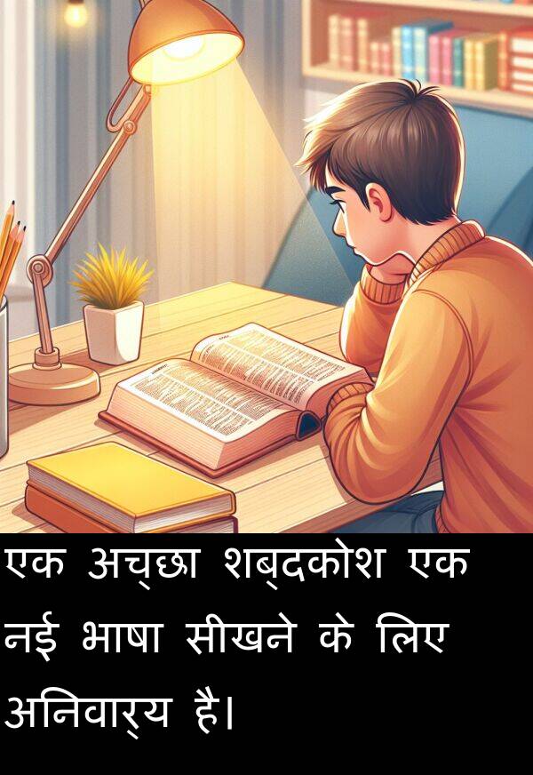 भाषा: एक अच्छा शब्दकोश एक नई भाषा सीखने के लिए अनिवार्य है।