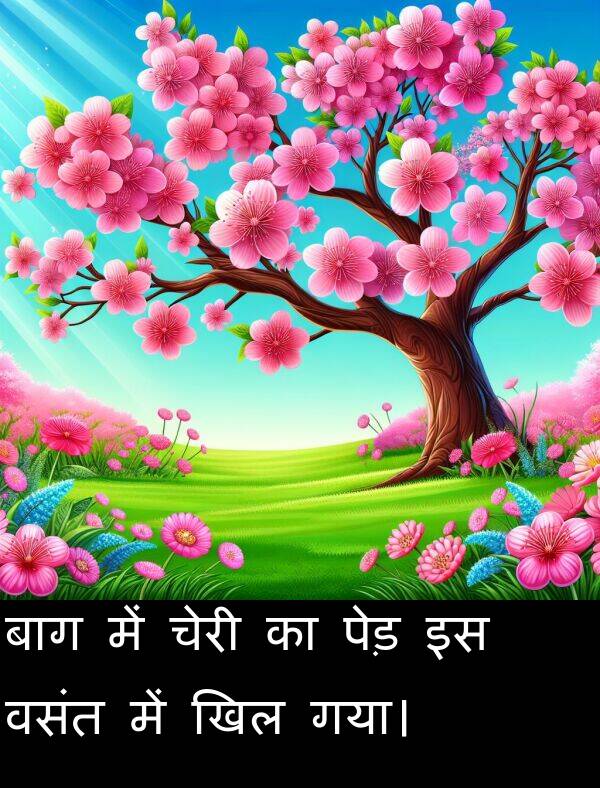 खिल: बाग में चेरी का पेड़ इस वसंत में खिल गया।