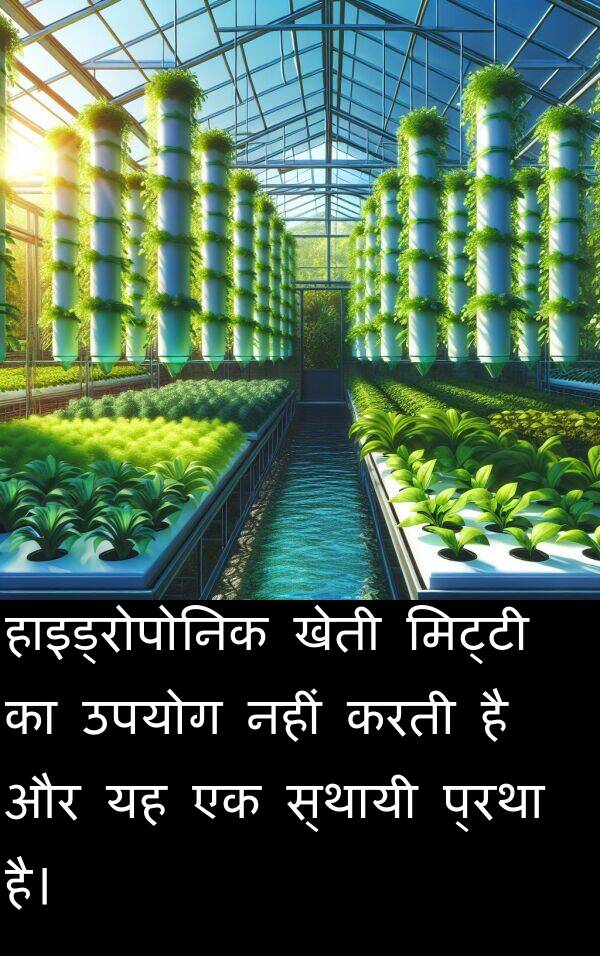 खेती: हाइड्रोपोनिक खेती मिट्टी का उपयोग नहीं करती है और यह एक स्थायी प्रथा है।