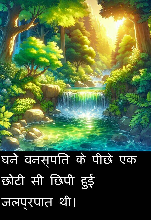 छोटी: घने वनस्पति के पीछे एक छोटी सी छिपी हुई जलप्रपात थी।