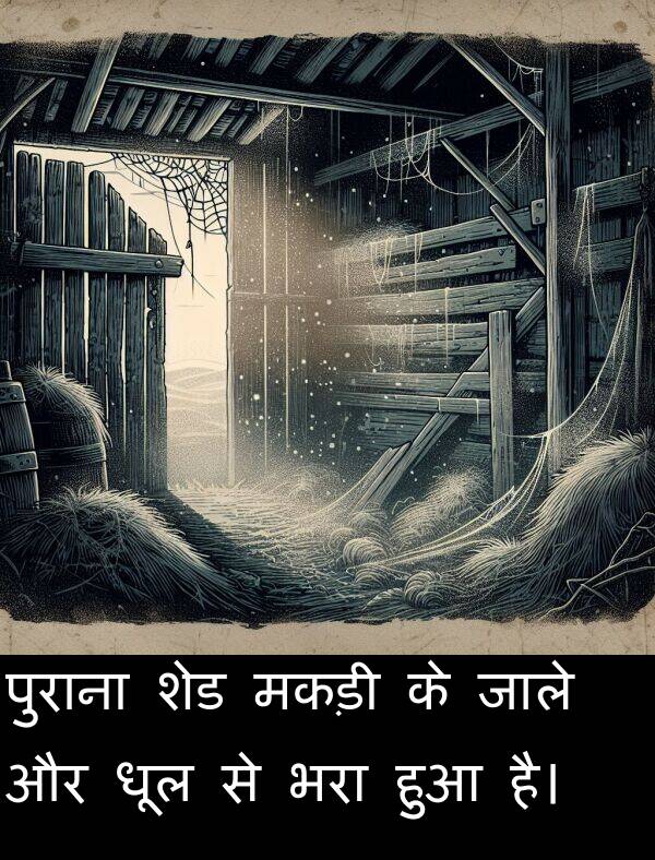 धूल: पुराना शेड मकड़ी के जाले और धूल से भरा हुआ है।