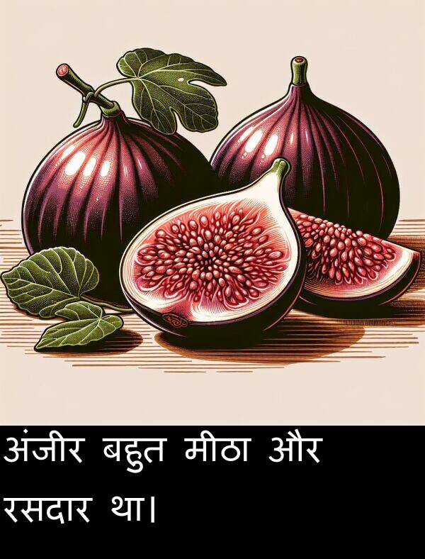 मीठा: अंजीर बहुत मीठा और रसदार था।