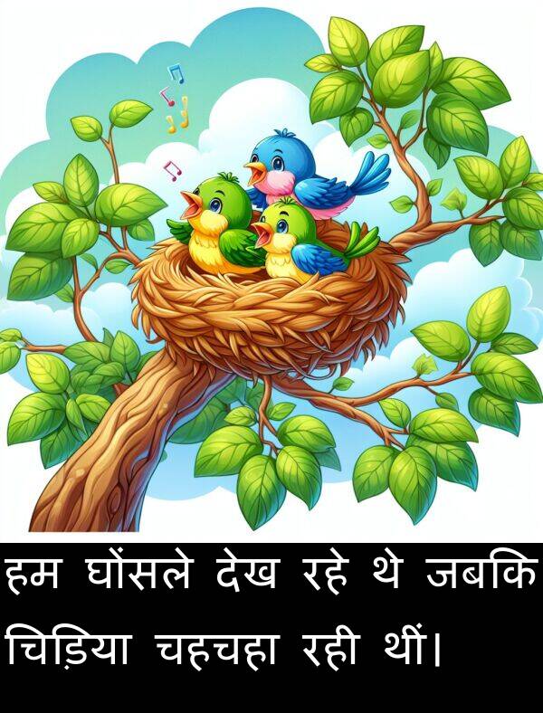 घोंसले: हम घोंसले देख रहे थे जबकि चिड़िया चहचहा रही थीं।