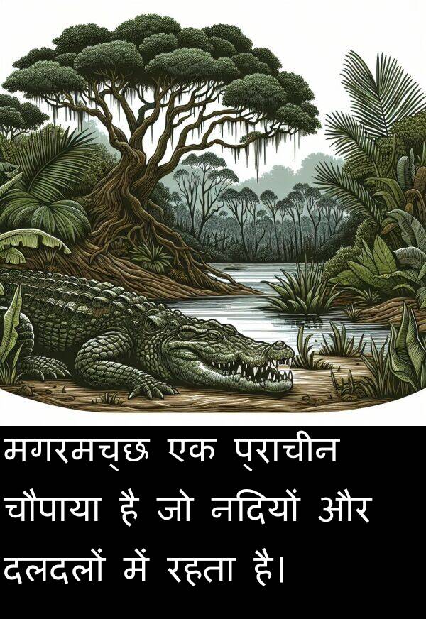 मगरमच्छ: मगरमच्छ एक प्राचीन चौपाया है जो नदियों और दलदलों में रहता है।