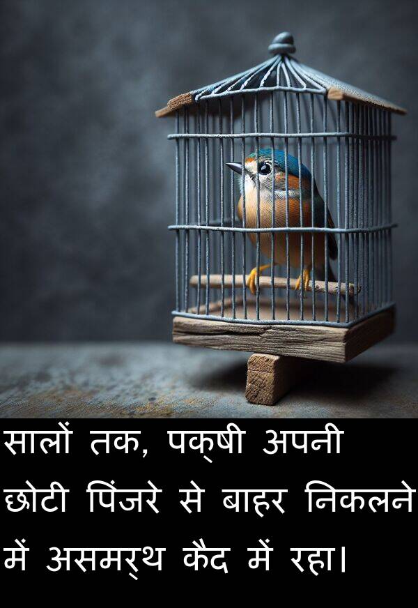 पिंजरे: सालों तक, पक्षी अपनी छोटी पिंजरे से बाहर निकलने में असमर्थ कैद में रहा।