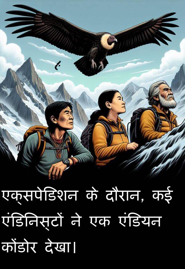 एंडियन: एक्सपेडिशन के दौरान, कई एंडिनिस्टों ने एक एंडियन कोंडोर देखा।