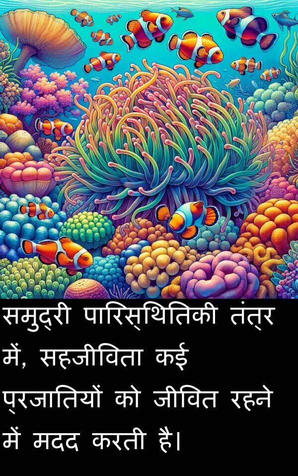 तंत्र: समुद्री पारिस्थितिकी तंत्र में, सहजीविता कई प्रजातियों को जीवित रहने में मदद करती है।