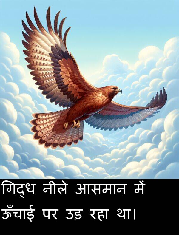 उड़: गिद्ध नीले आसमान में ऊँचाई पर उड़ रहा था।