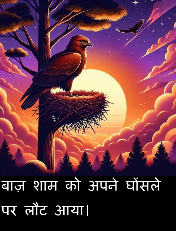 लौट: बाज़ शाम को अपने घोंसले पर लौट आया।