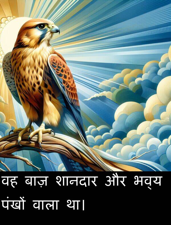 भव्य: वह बाज़ शानदार और भव्य पंखों वाला था।