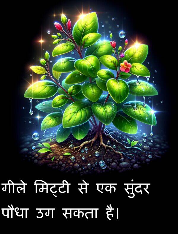 गीले: गीले मिट्टी से एक सुंदर पौधा उग सकता है।