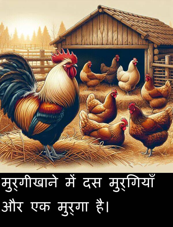 मुर्गियाँ: मुर्गीखाने में दस मुर्गियाँ और एक मुर्गा है।