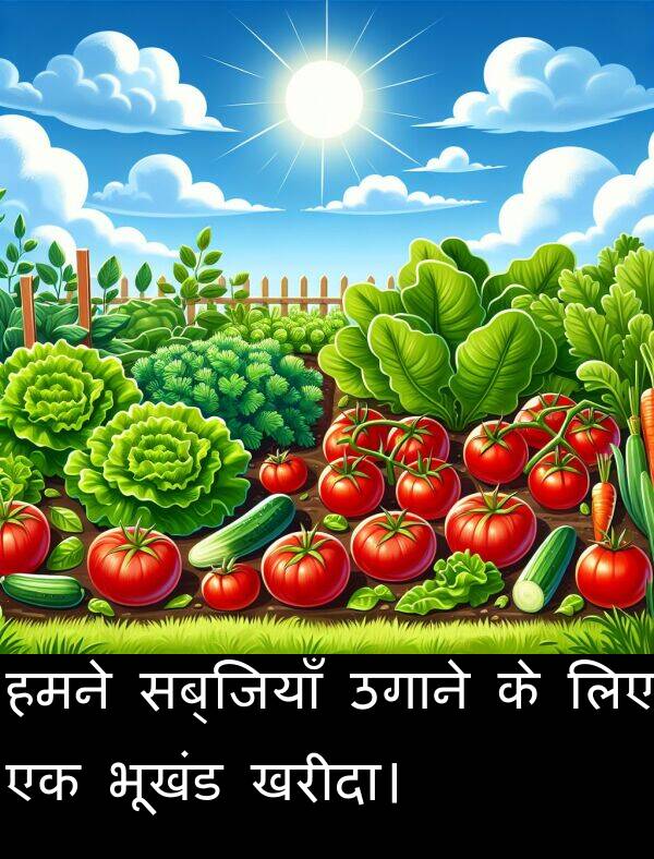 लिए: हमने सब्जियाँ उगाने के लिए एक भूखंड खरीदा।