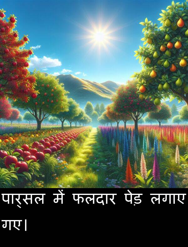 लगाए: पार्सल में फलदार पेड़ लगाए गए।