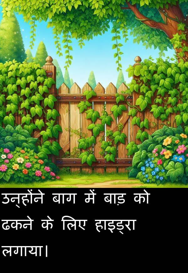 लगाया।: उन्होंने बाग में बाड़ को ढकने के लिए हाइड्रा लगाया।