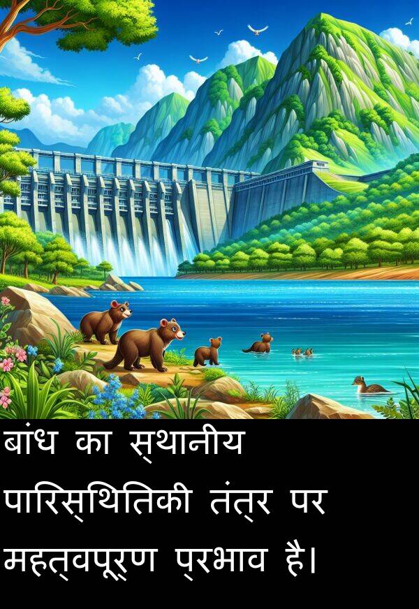 तंत्र: बांध का स्थानीय पारिस्थितिकी तंत्र पर महत्वपूर्ण प्रभाव है।